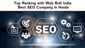 Top Ranking with Web Bull India | Best SEO Company in Noida 